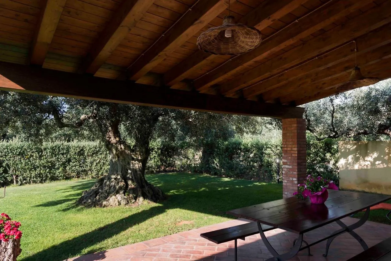 House Surrounded By Olive Trees Villa Sciacca Holiday home